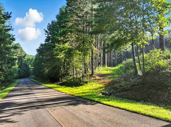 31&32 Foxpaw Leaf Ln, Ellijay, GA 30536