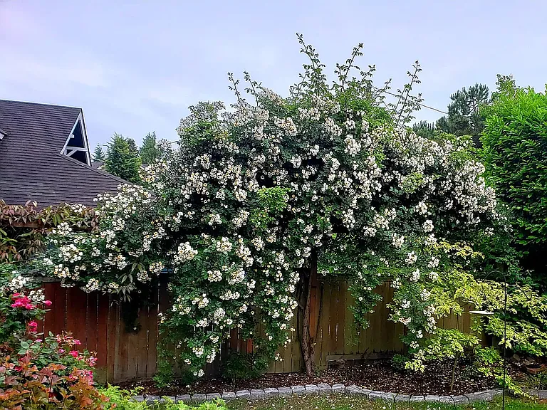 4455 Brygger Dr W — Photo 18