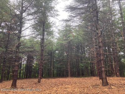 Lot 6 County Rte 51, Coxsackie, NY, 12051