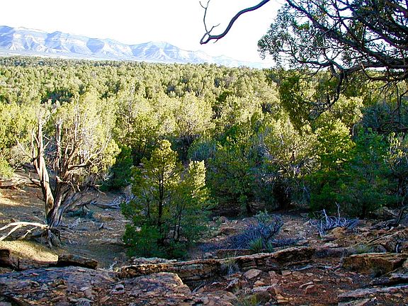4th image of 9354 Road 22.7