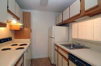 3rd image of 8649 N Himes Ave APT 1217