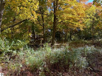 10-010 Burr St #10, Benzonia, MI, 49616