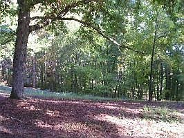 5th image of 30 Deaton Ln