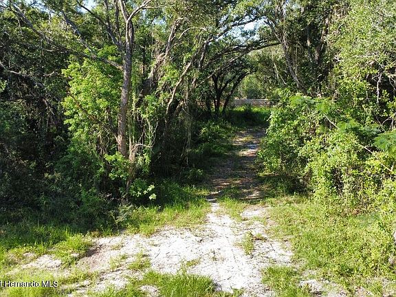 5th image of 0 Little Ranch Rd