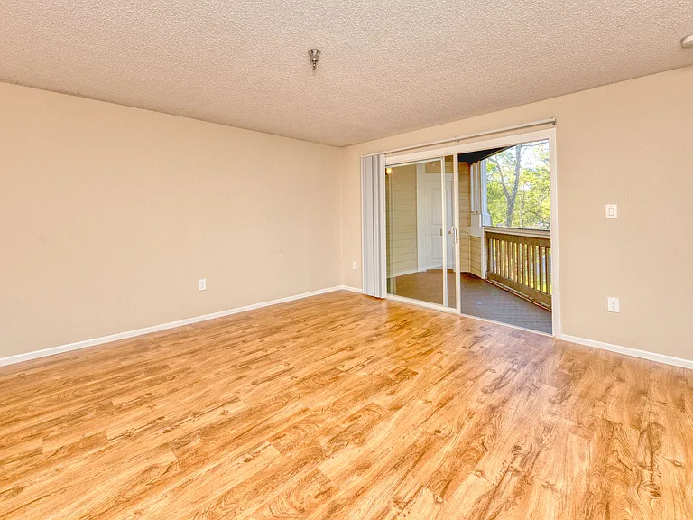 Palm Cove Apartments — Photo 50