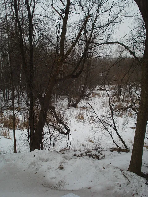 Nature Preserve View