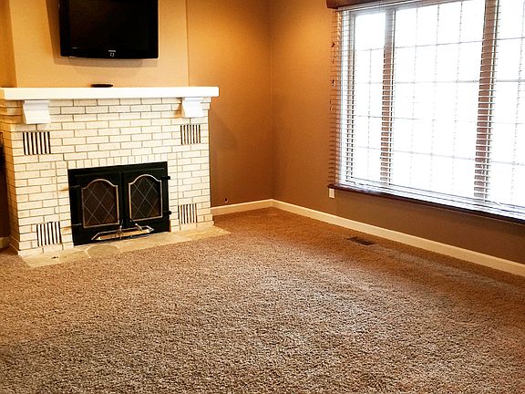 Wood Buring Fireplace