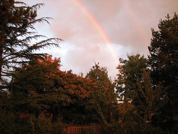 Double rainbow viewed from the back deck over Greenway Park