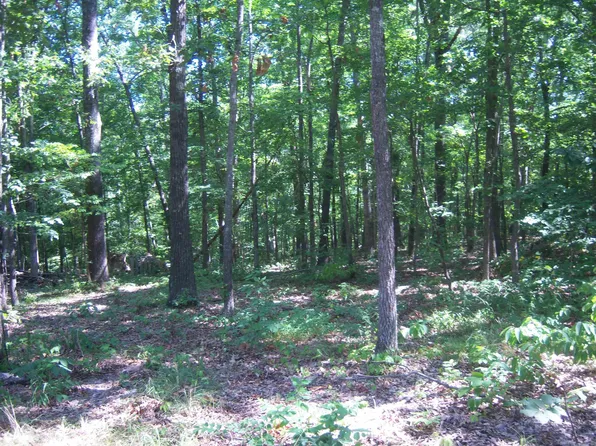 (undisclosed Address), Mountain View, AR 72560