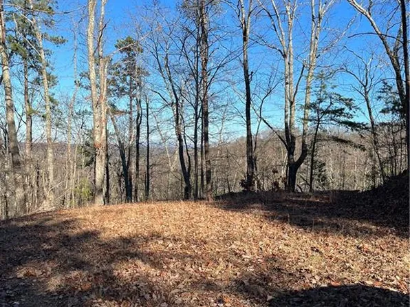 1079 Elk Cts #1079, Ranger, GA 30734