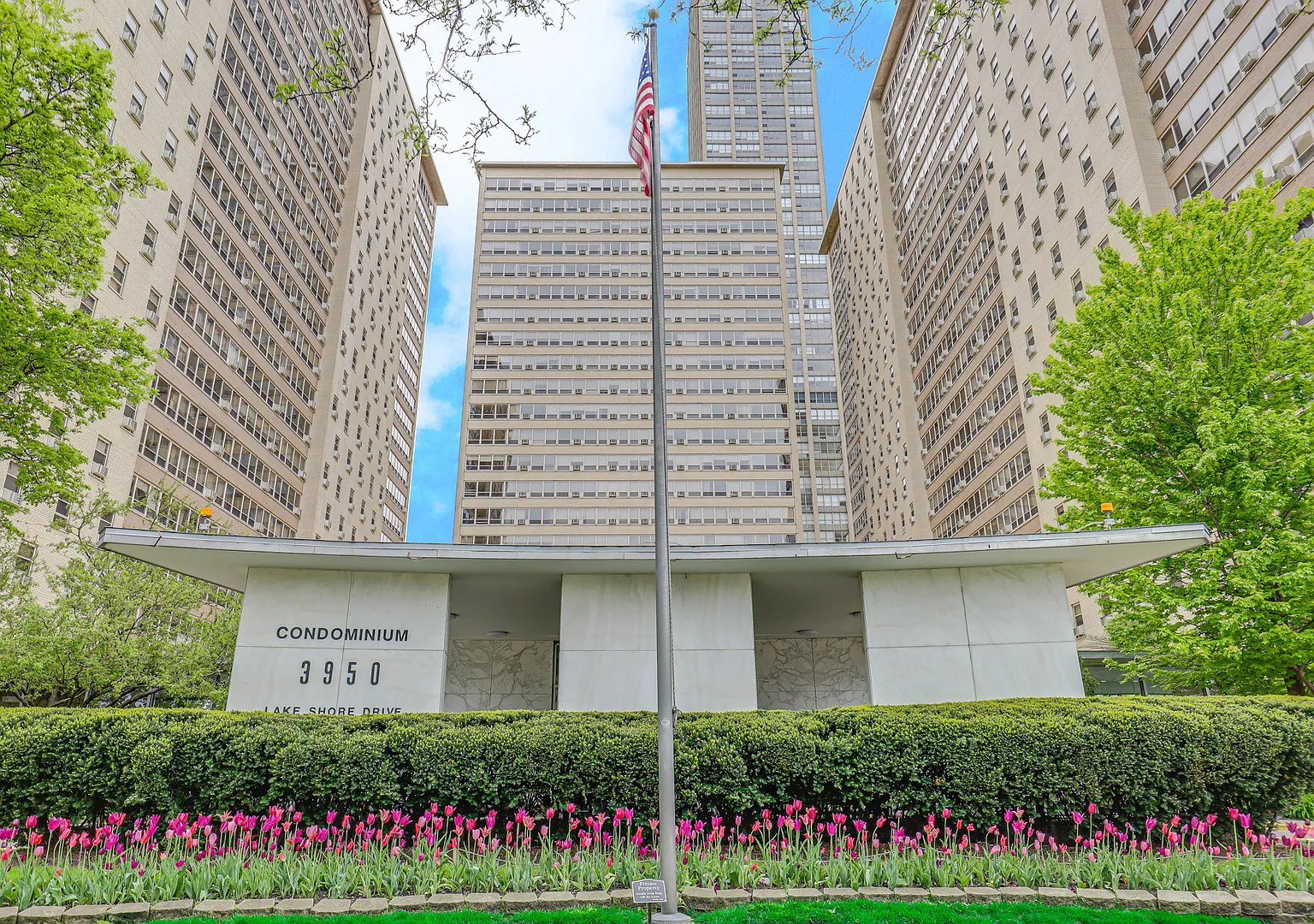 3950 N Lake Shore Dr — Photo 1