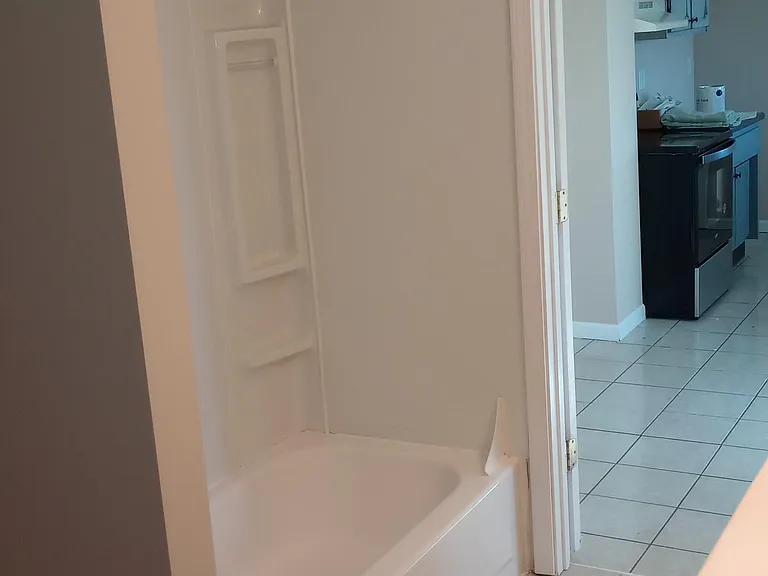Tub shower
