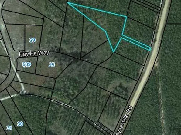 LOT 16 Old Waynesville Rd, Waynesville, GA 31566