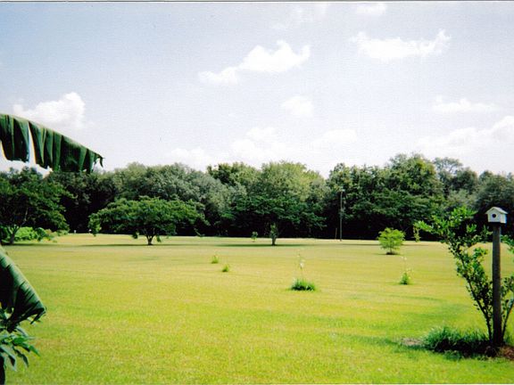 View of front yard...