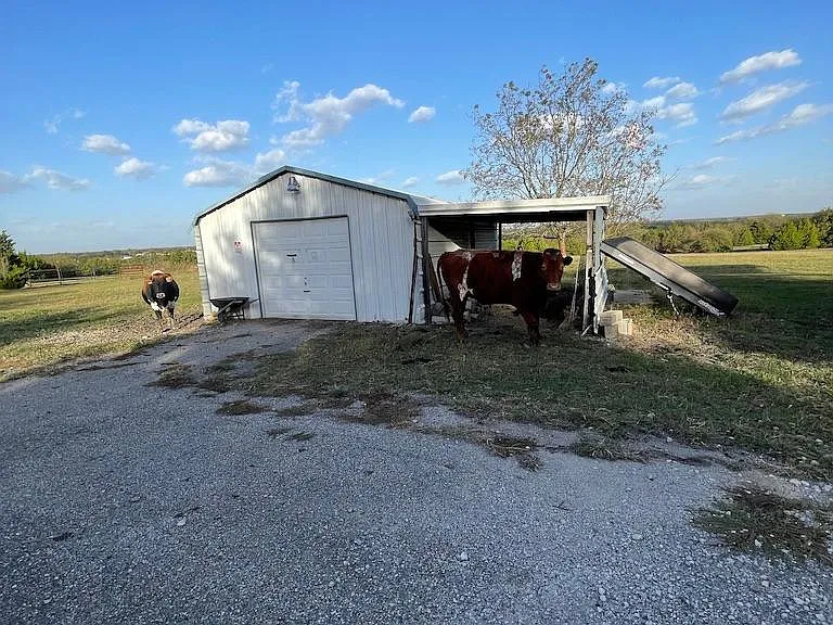 4196 FM 75 — Photo 35
