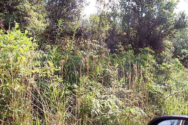 2nd image of 11-3204 Laupaka Rd Lot 10