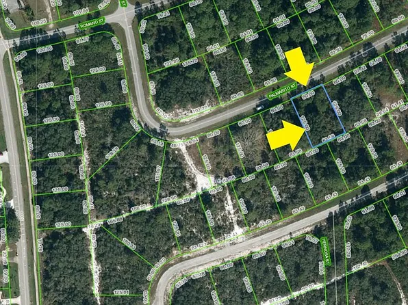 4423 Palmarito St, Sebring, FL 33872