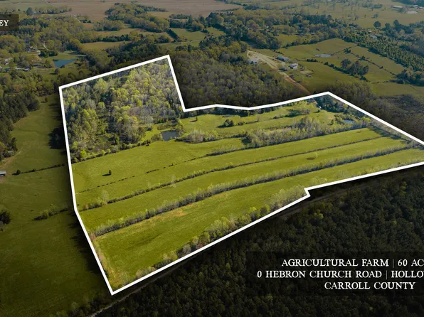 0 Hebron Church Rd, Bruceton, TN 38317