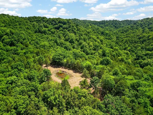 2926 Bryant Ridge Rd, Baxter, TN 38544