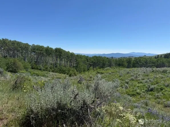 111 TBD ELLEMEHAM RIDGE Road, Oroville, WA 98844