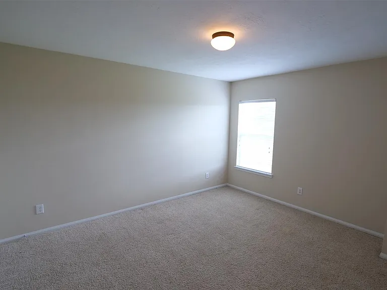 3827 Pine Forest Green Blvd — Photo 21