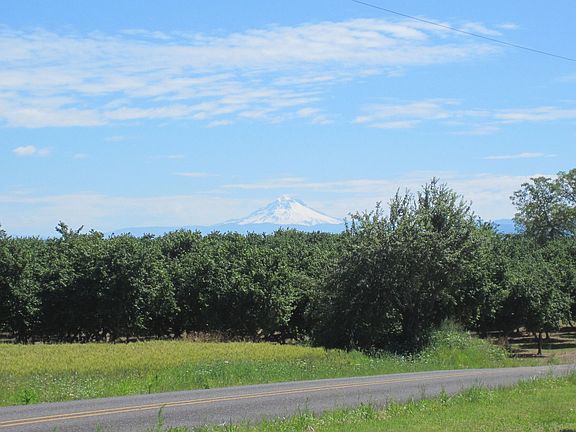 View of Mt. Hood