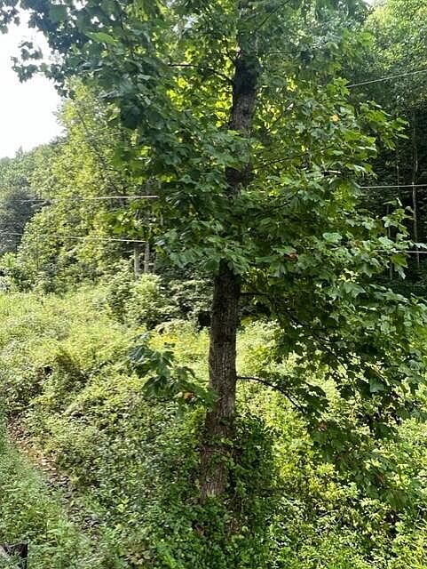 1st image of 0 Ousley Br