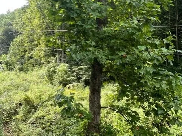 0 Ousley Br, Prestonsburg, KY 41653