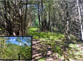 L71 Shaw Hill Rd, Adirondack, NY 12808