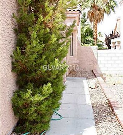5th image of 7039 Shadow Crest Dr