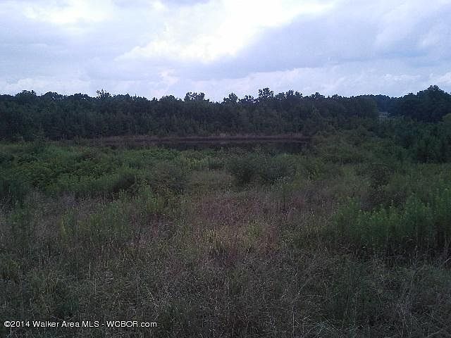 2nd image of 168 County Road 235