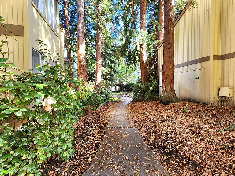 505 Cypress Point Dr #209 — Photo 27