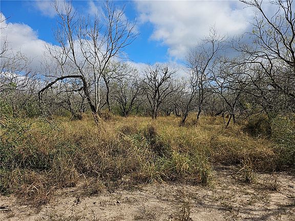 4th image of 23354 County Road 1038 Cir