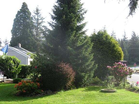Another view of front yard