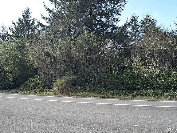 5th image of 163 Point Brown Ave SW
