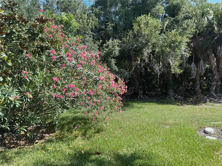 8004 Camminare Dr — Photo 5