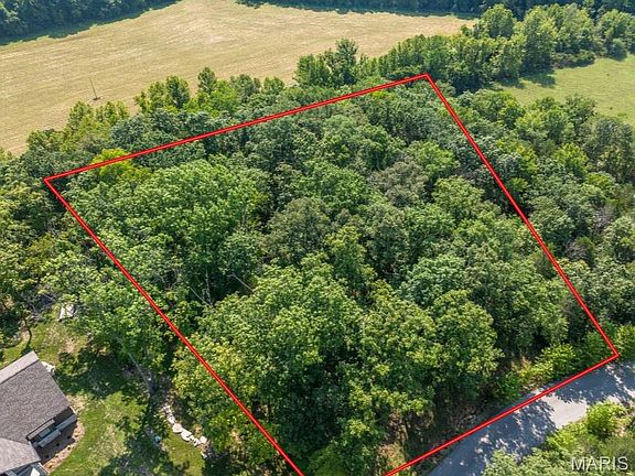 5th image of 2545 Alpine Woods Dr