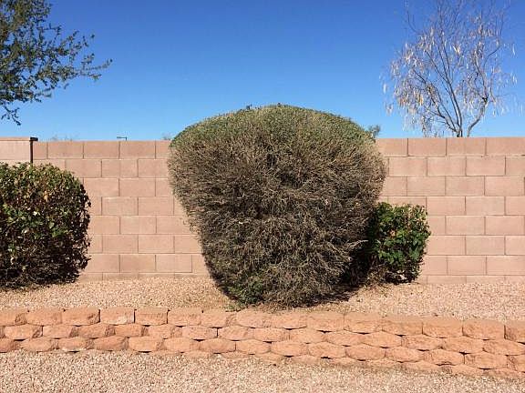 4th image of 4332 E Hamblin Dr