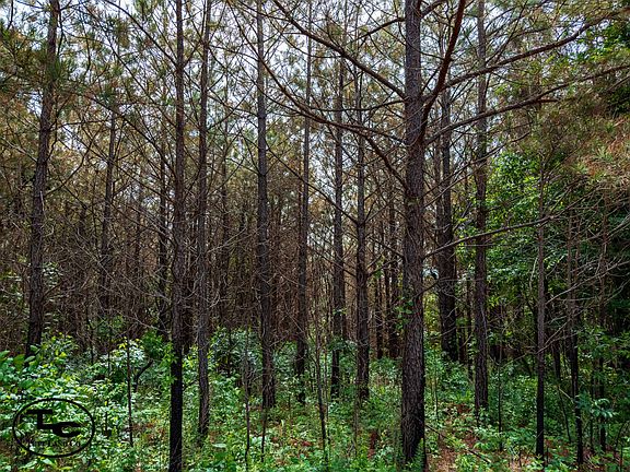 2nd image of 2500 Grooms Rd #11