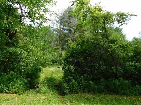 451 North End Road, Tinmouth, VT 05773