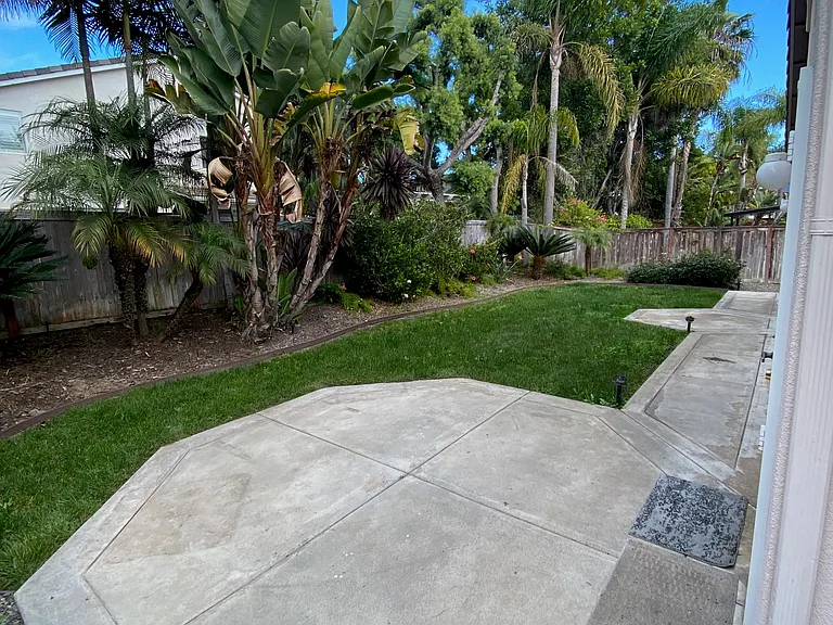 Backyard east view