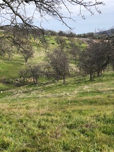 9806 Alamo Dr, La Grange, CA, 95329