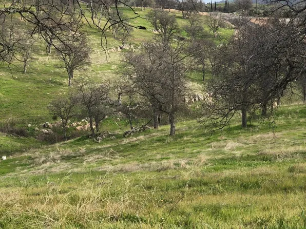 9806 Alamo Dr, La Grange, CA 95329