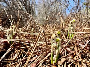 45 Campground Rd, Searsport, ME 04974