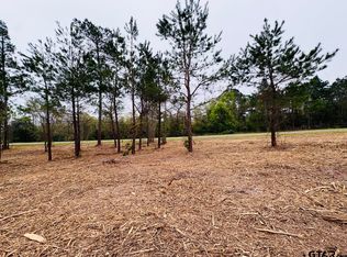 TRACT Fm 711 #B, Center, TX 75935