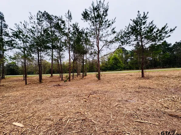 TRACT Fm 711 #B, Center, TX 75935