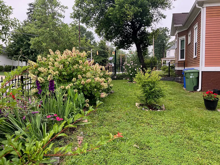Side Garden