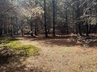 Pine Branch Rd, Laurel Fork, VA 24352