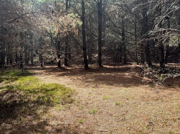 Pine Branch Rd, Laurel Fork, VA 24352