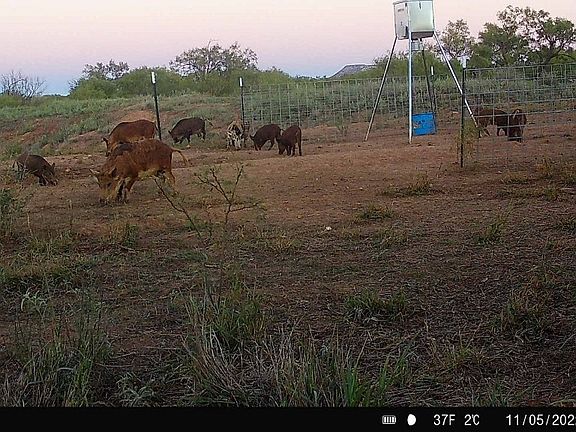 2nd image of S Us Highway 277